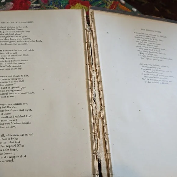 The Pilgrim's Progress Book, Perrless Edition, Published 1892 - Picture 10 of 12